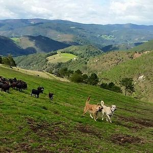 Hotel Rural Yeguada Albeitar